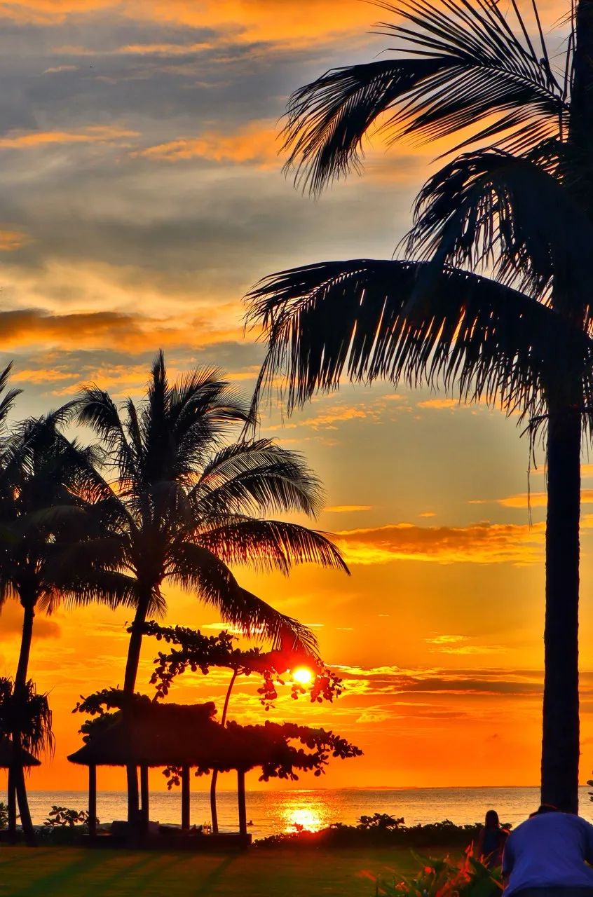 世界唯一没有“癌症”的国家：禁止携带苹果，对中国免签！比马代纯净，美到窒息却鲜有人知......