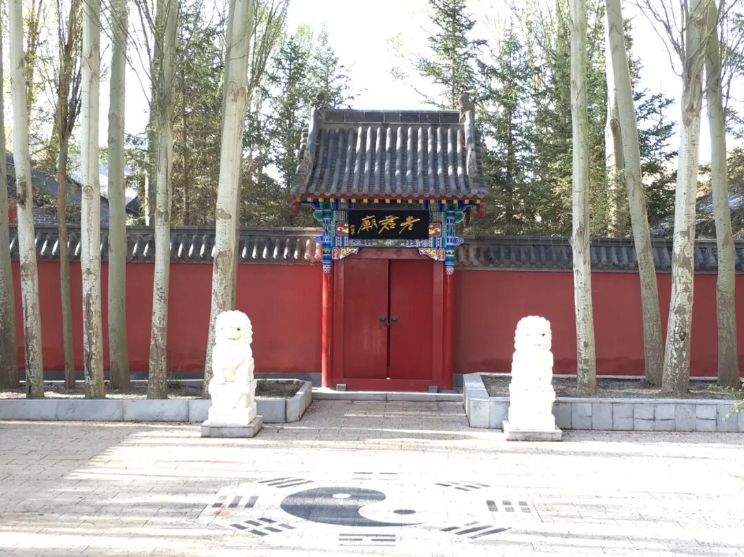 中国最便宜的地方：28元/平，2000元买套房，全城只剩一个红路灯，网友：白给也不要