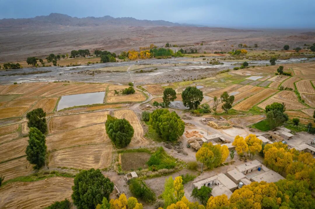 中国最便宜的地方：28元/平，2000元买套房，全城只剩一个红路灯，网友：白给也不要