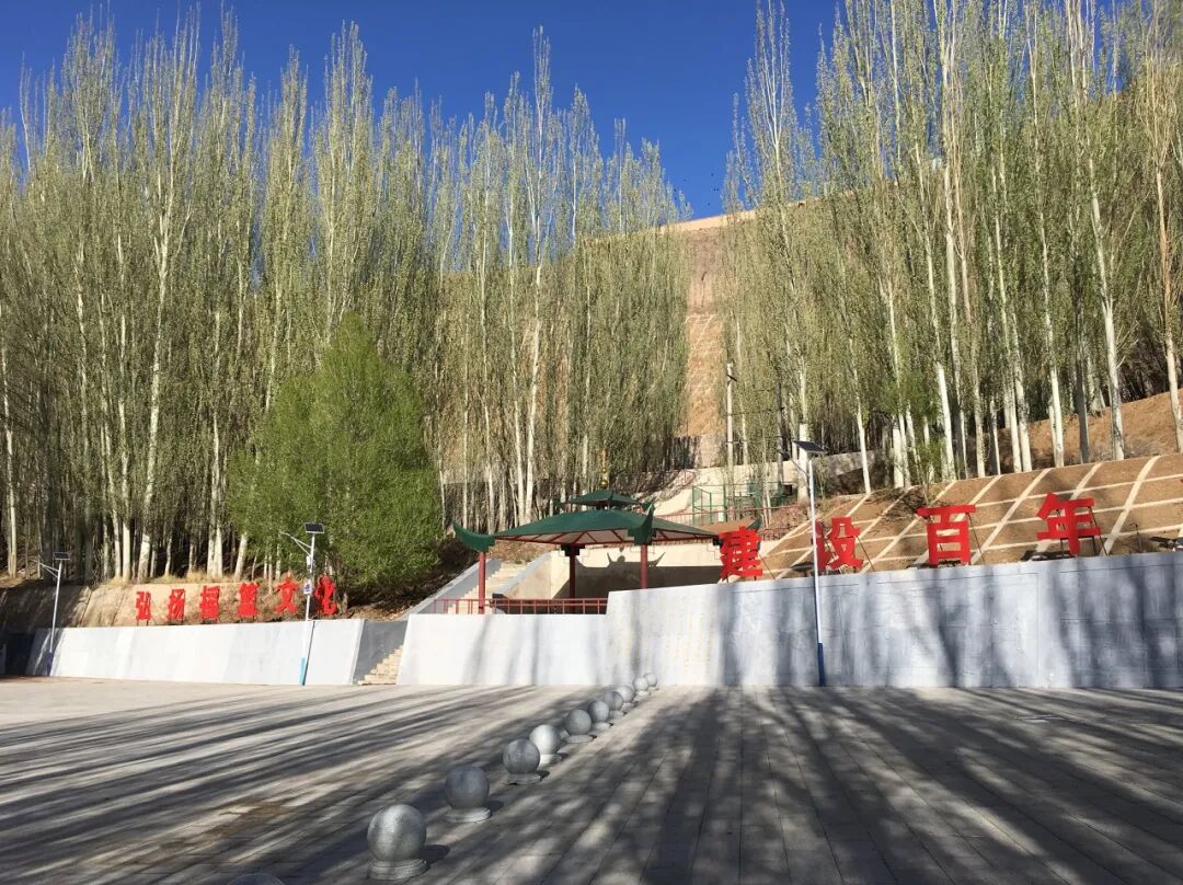 中国最便宜的地方：28元/平，2000元买套房，全城只剩一个红路灯，网友：白给也不要