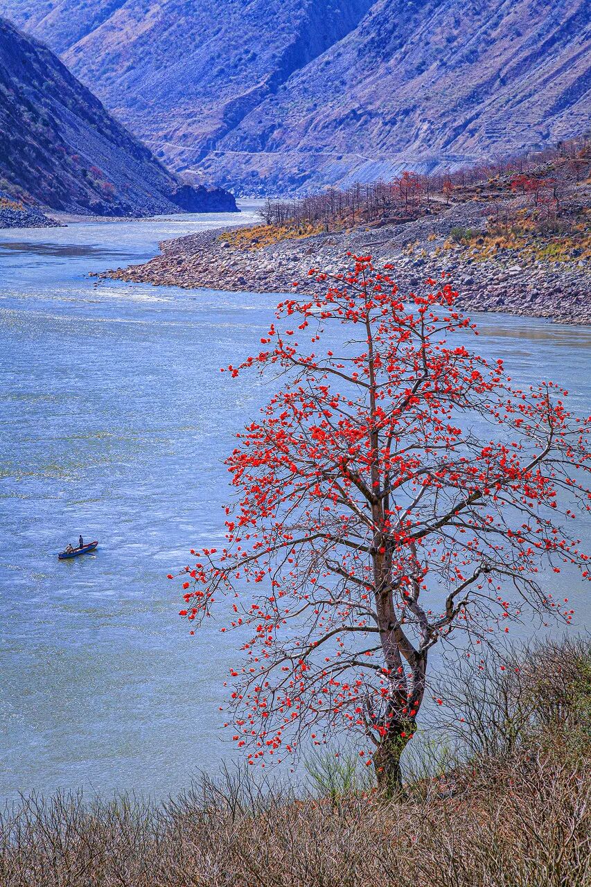 中国唯一以“花”命名的城市：没有冬天，均温20℃！不输昆明，比海南人少、便宜，水果自由，此生必去