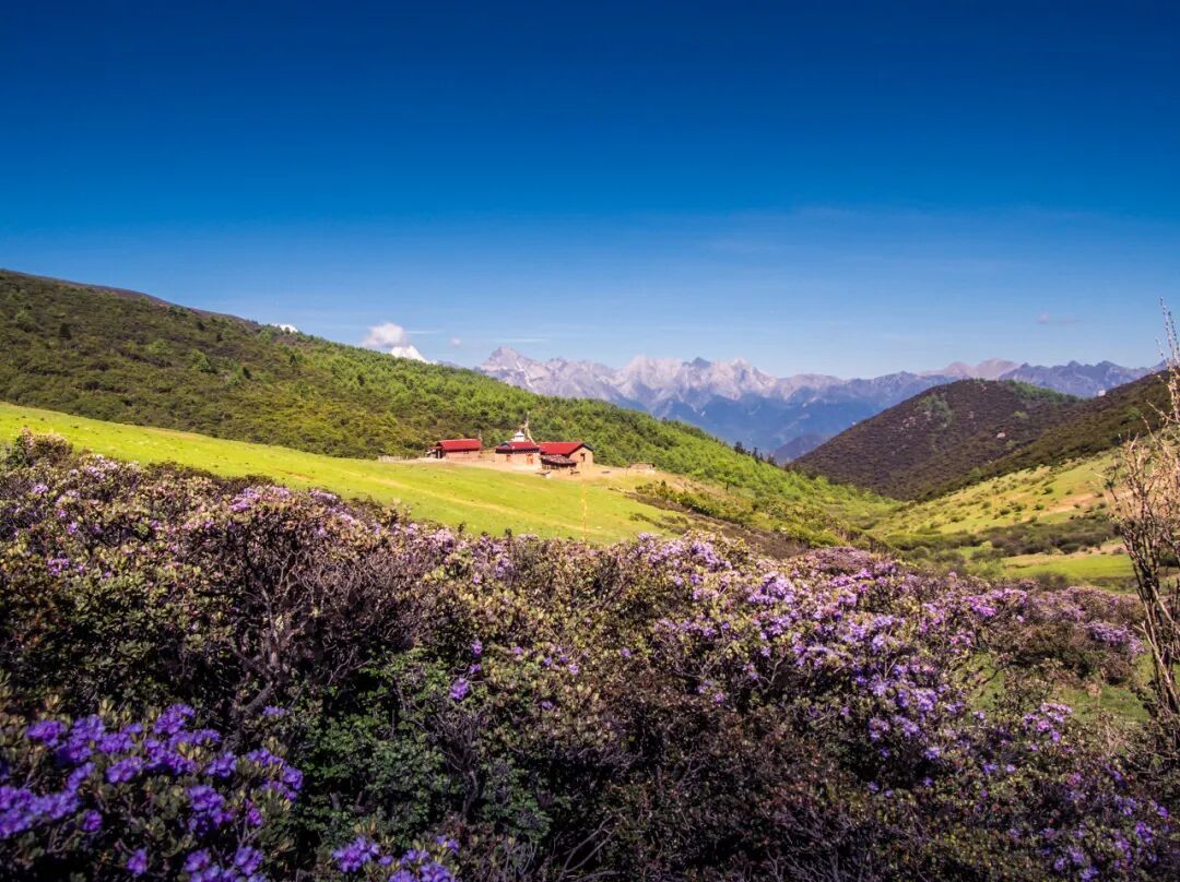 中国唯一以“花”命名的城市：没有冬天，均温20℃！不输昆明，比海南人少、便宜，水果自由，此生必去