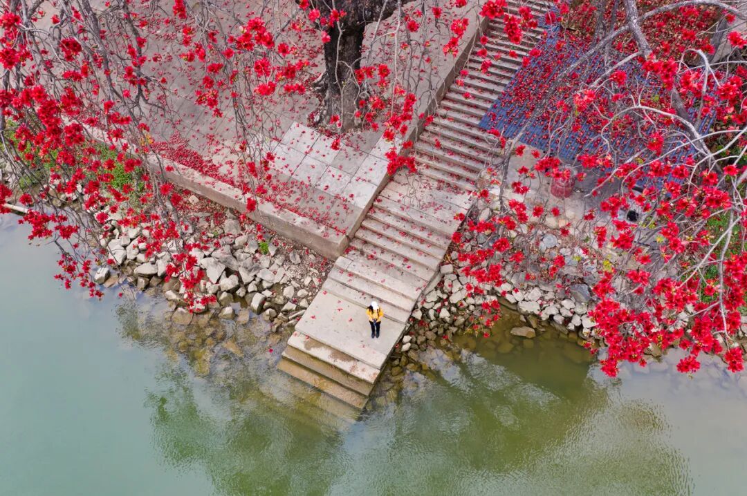 中国唯一以“花”命名的城市：没有冬天，均温20℃！不输昆明，比海南人少、便宜，水果自由，此生必去
