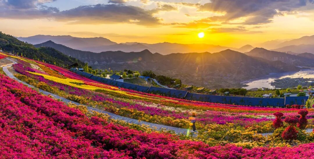 中国唯一以“花”命名的城市：没有冬天，均温20℃！不输昆明，比海南人少、便宜，水果自由，此生必去