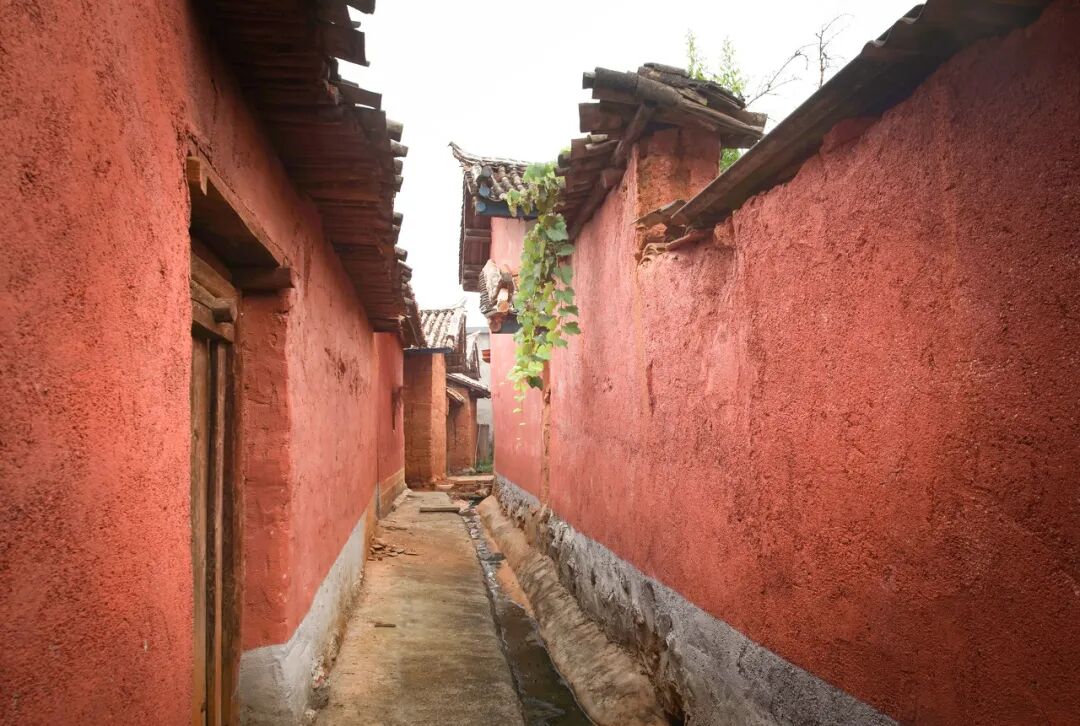 中国唯一以“花”命名的城市：没有冬天，均温20℃！不输昆明，比海南人少、便宜，水果自由，此生必去