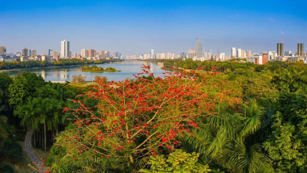 中国唯一以“花”命名的城市：没有冬天，均温20℃！不输昆明，比海南人少、便宜，水果自由，此生必去