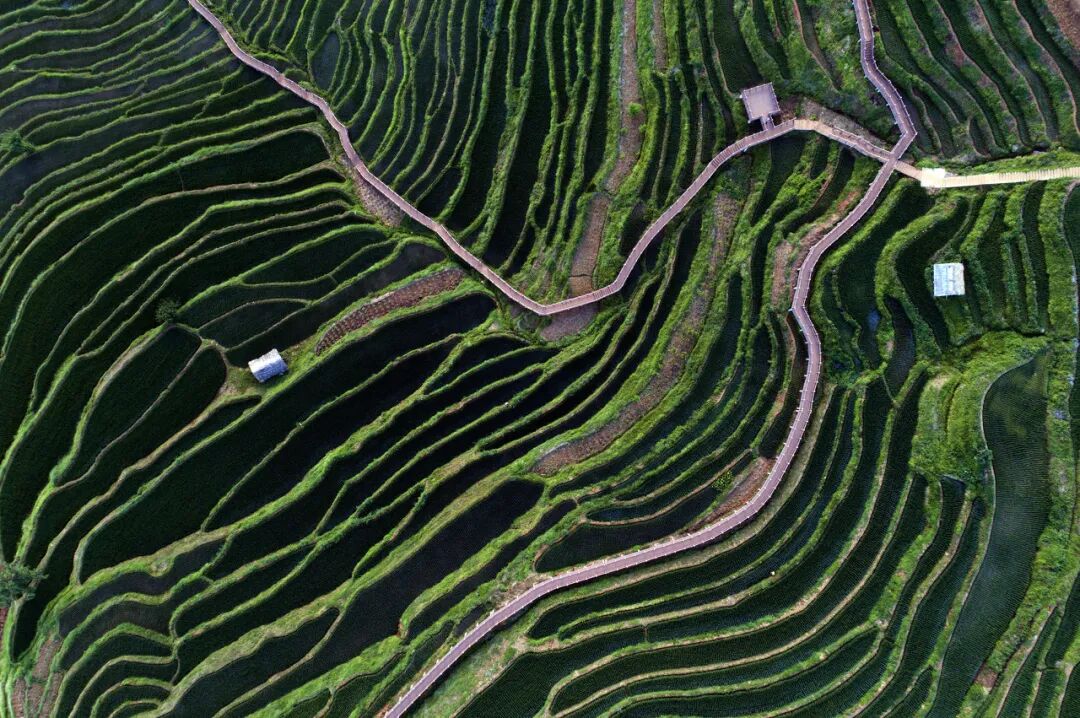 中国唯一以“花”命名的城市：没有冬天，均温20℃！不输昆明，比海南人少、便宜，水果自由，此生必去