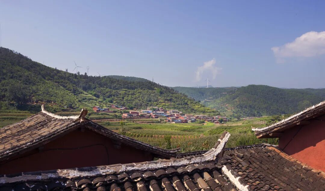 中国唯一以“花”命名的城市：没有冬天，均温20℃！不输昆明，比海南人少、便宜，水果自由，此生必去