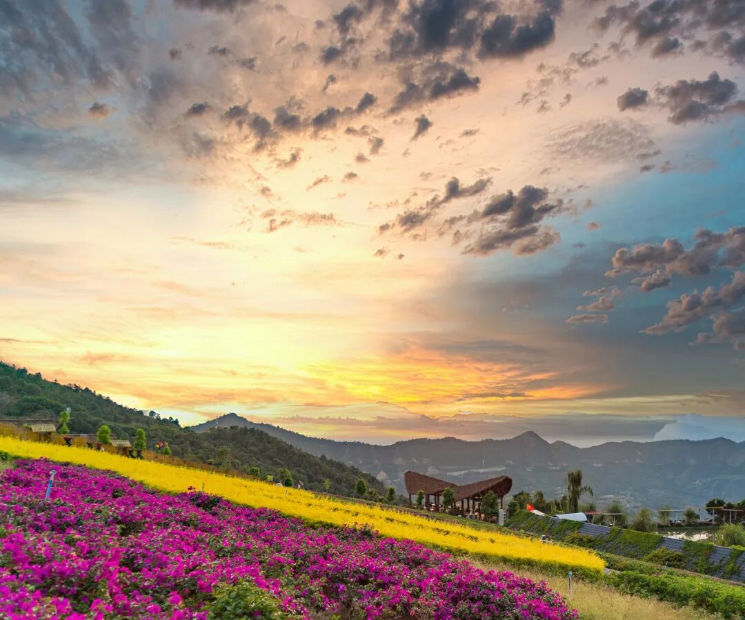 中国唯一以“花”命名的城市：没有冬天，均温20℃！不输昆明，比海南人少、便宜，水果自由，此生必去