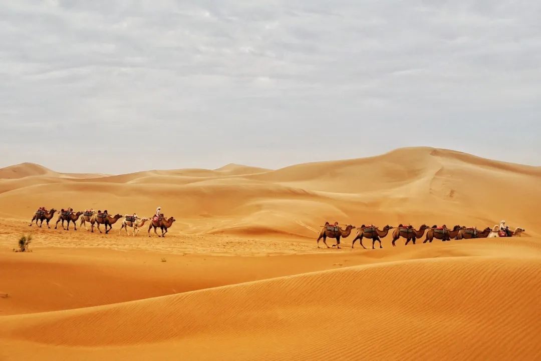 再過30天，全世界都要羨慕死中國了！ 旅遊 第59張