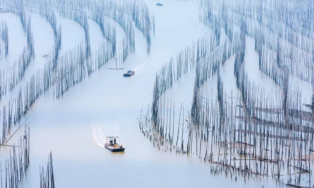 美过厦门，打败福州！这座被遗忘的小城，竟是“中国最美”，它凭什么？