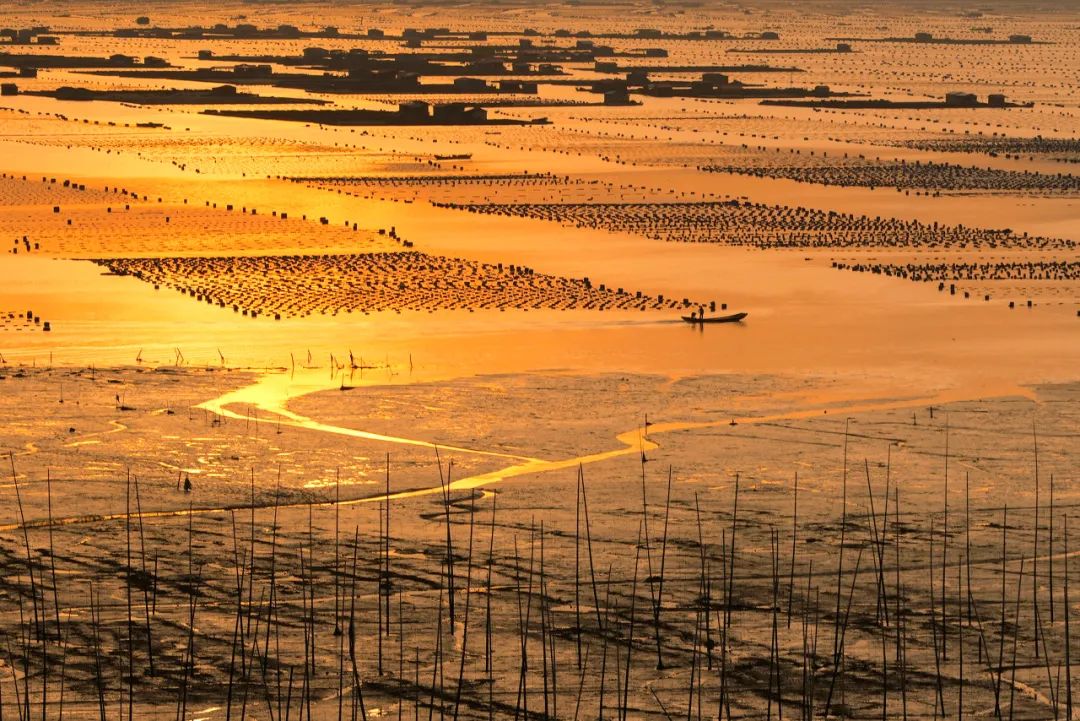 美过厦门，打败福州！这座被遗忘的小城，竟是“中国最美”，它凭什么？