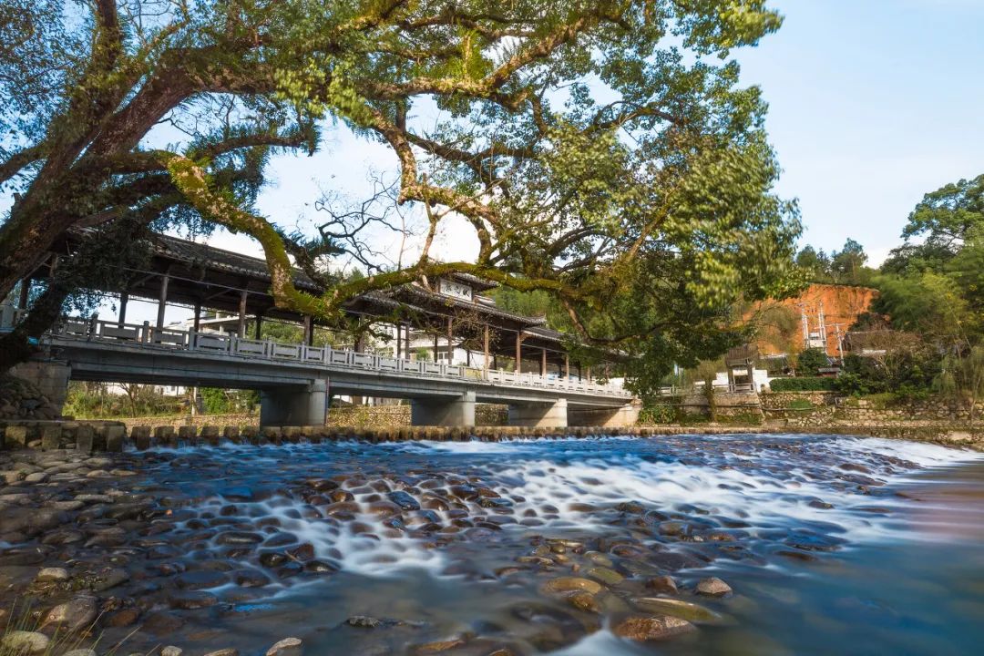 美过厦门，打败福州！这座被遗忘的小城，竟是“中国最美”，它凭什么？