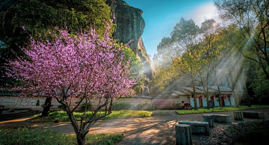 《庆余年2》爆火！这个隐世小城，不输苏杭，被白居易疯狂表白！当地人：求求了，都别来