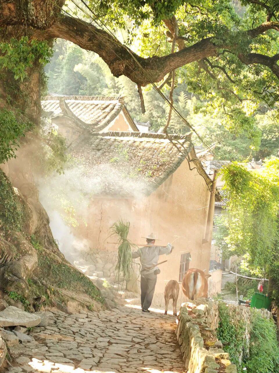 《庆余年2》爆火！这个隐世小城，不输苏杭，被白居易疯狂表白！当地人：求求了，都别来