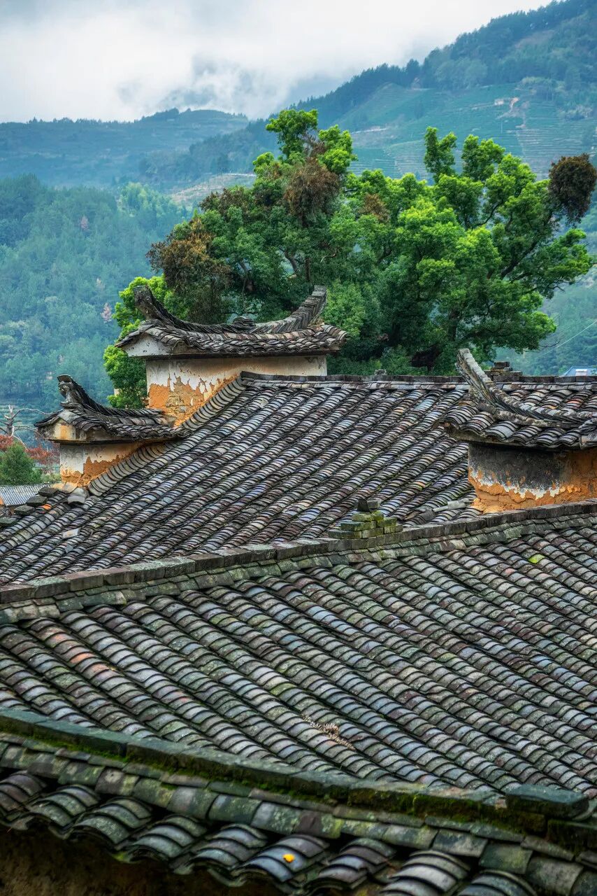 《庆余年2》爆火！这个隐世小城，不输苏杭，被白居易疯狂表白！当地人：求求了，都别来