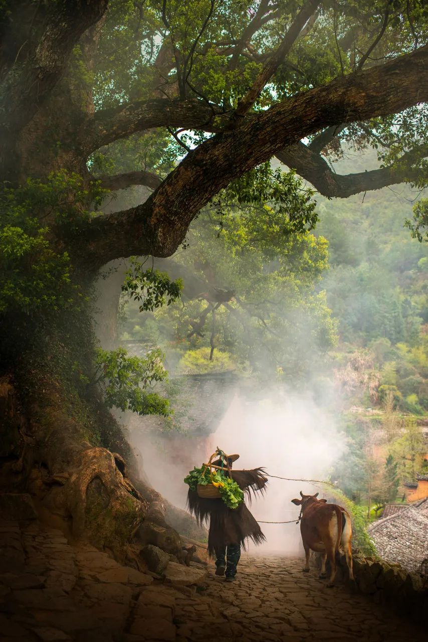 《庆余年2》爆火！这个隐世小城，不输苏杭，被白居易疯狂表白！当地人：求求了，都别来