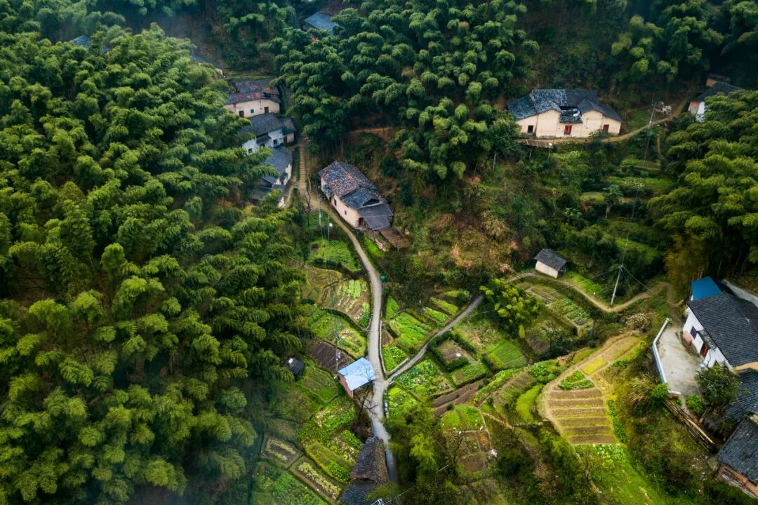 《庆余年2》爆火！这个隐世小城，不输苏杭，被白居易疯狂表白！当地人：求求了，都别来