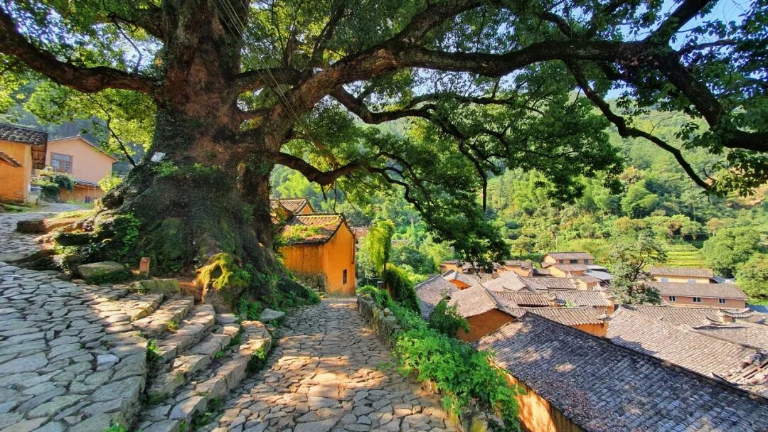 《庆余年2》爆火！这个隐世小城，不输苏杭，被白居易疯狂表白！当地人：求求了，都别来