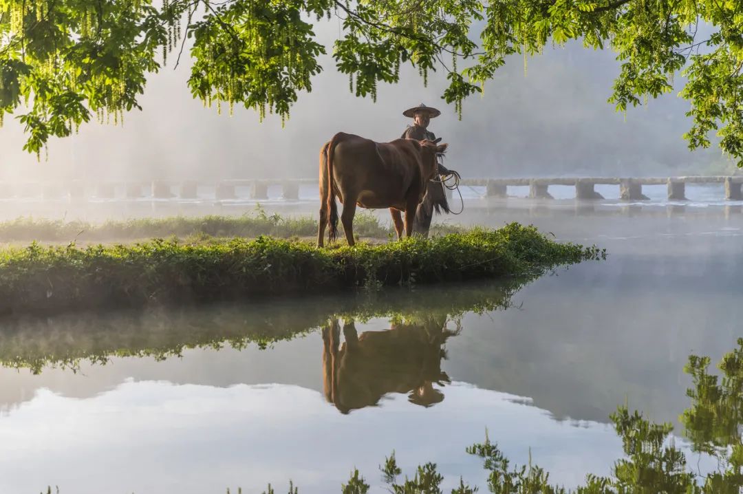 《庆余年2》爆火！这个隐世小城，不输苏杭，被白居易疯狂表白！当地人：求求了，都别来