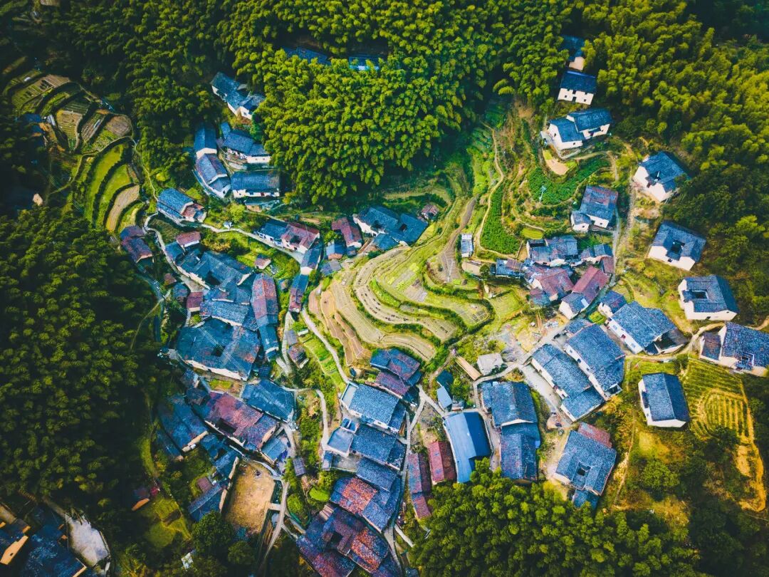 《庆余年2》爆火！这个隐世小城，不输苏杭，被白居易疯狂表白！当地人：求求了，都别来