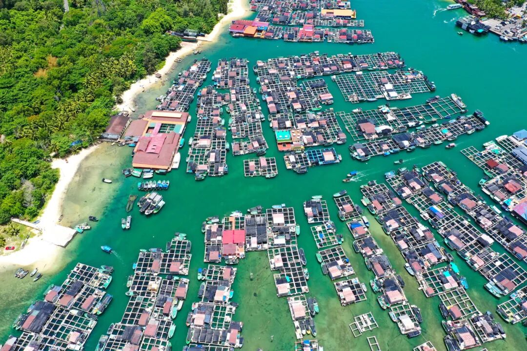 国内“避寒”天花板：游客不足三亚的1%，比万宁小众，被余华疯狂点赞，均温25℃，严重被低估了......