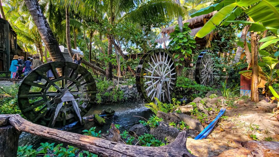 国内“避寒”天花板：游客不足三亚的1%，比万宁小众，被余华疯狂点赞，均温25℃，严重被低估了......