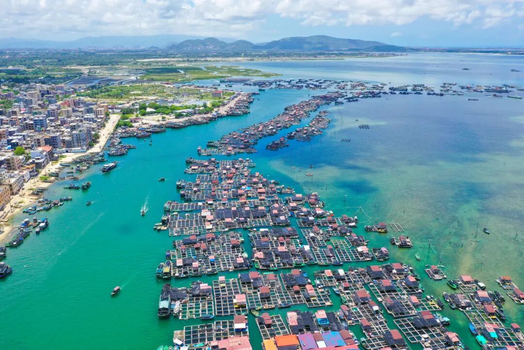 国内“避寒”天花板：游客不足三亚的1%，比万宁小众，被余华疯狂点赞，均温25℃，严重被低估了......