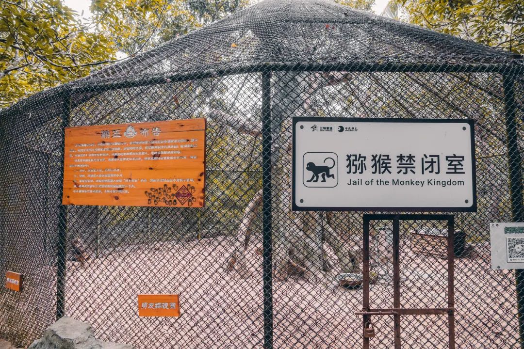 国内“避寒”天花板：游客不足三亚的1%，比万宁小众，被余华疯狂点赞，均温25℃，严重被低估了......