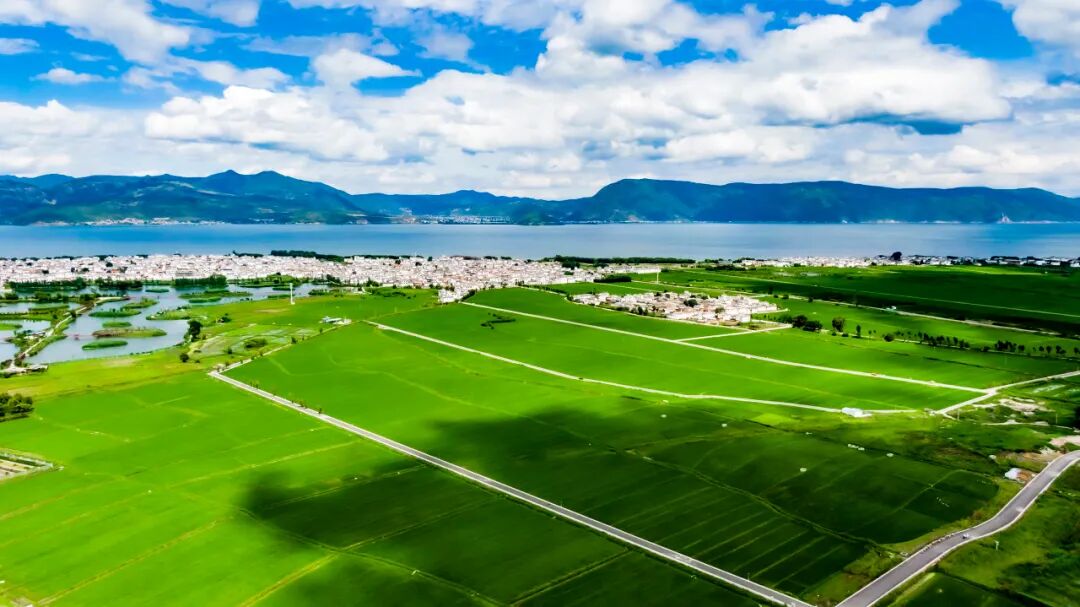 中国最“懒”的城市们：天天喝茶打麻将，美女遍地，绝不内卷！幸福感爆棚，美食众多，你来过几个？