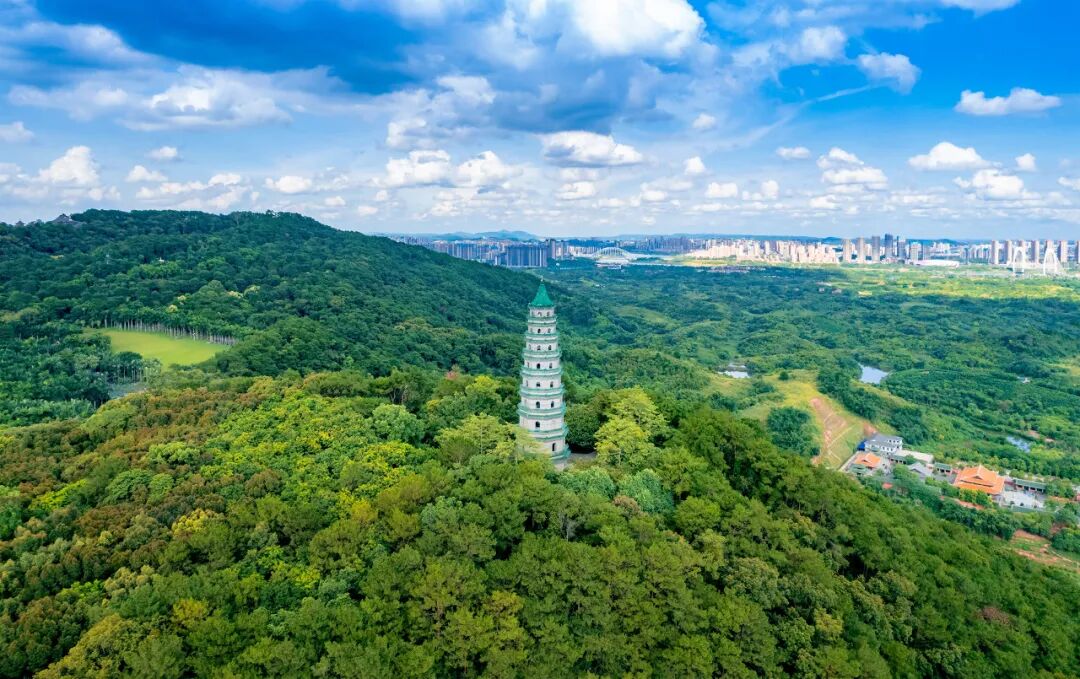 中国最“懒”的城市们：天天喝茶打麻将，美女遍地，绝不内卷！幸福感爆棚，美食众多，你来过几个？