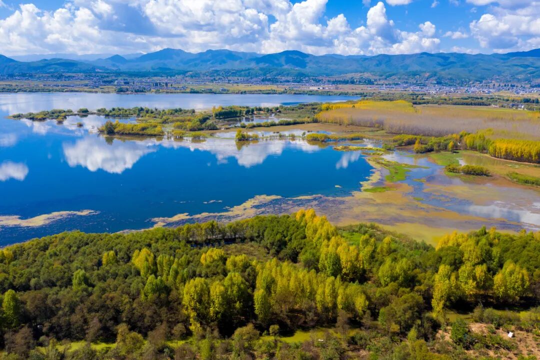 中国最“懒”的城市们：天天喝茶打麻将，美女遍地，绝不内卷！幸福感爆棚，美食众多，你来过几个？