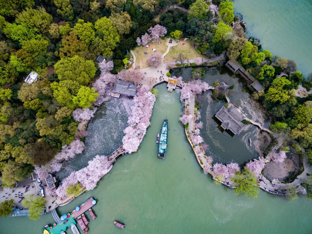 中国最“懒”的城市们：天天喝茶打麻将，美女遍地，绝不内卷！幸福感爆棚，美食众多，你来过几个？