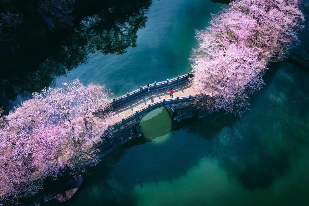 中国最“懒”的城市们：天天喝茶打麻将，美女遍地，绝不内卷！幸福感爆棚，美食众多，你来过几个？