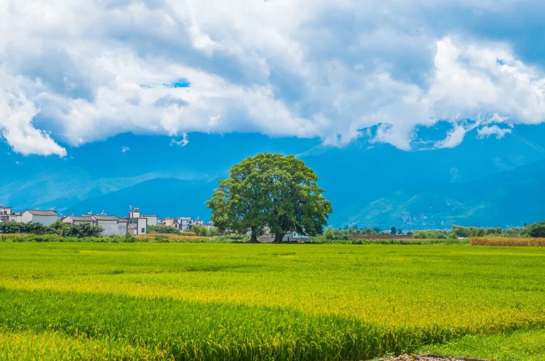 中国最“懒”的城市们：天天喝茶打麻将，美女遍地，绝不内卷！幸福感爆棚，美食众多，你来过几个？