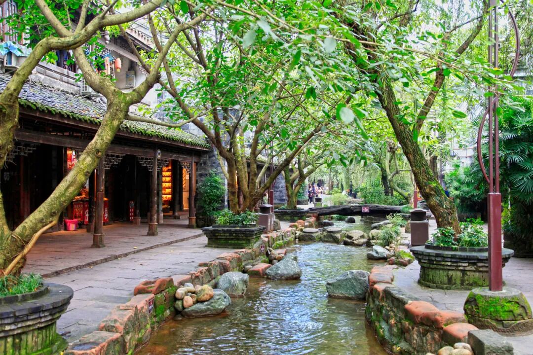 中国最“懒”的城市们：天天喝茶打麻将，美女遍地，绝不内卷！幸福感爆棚，美食众多，你来过几个？