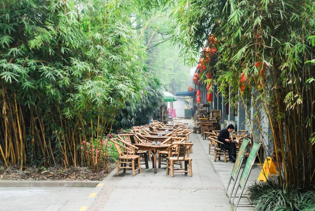 中国最“懒”的城市们：天天喝茶打麻将，美女遍地，绝不内卷！幸福感爆棚，美食众多，你来过几个？