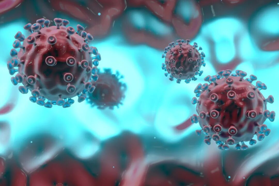 南非新变异病毒来了比德尔塔更恐怖多国开始封锁我国已有人感染