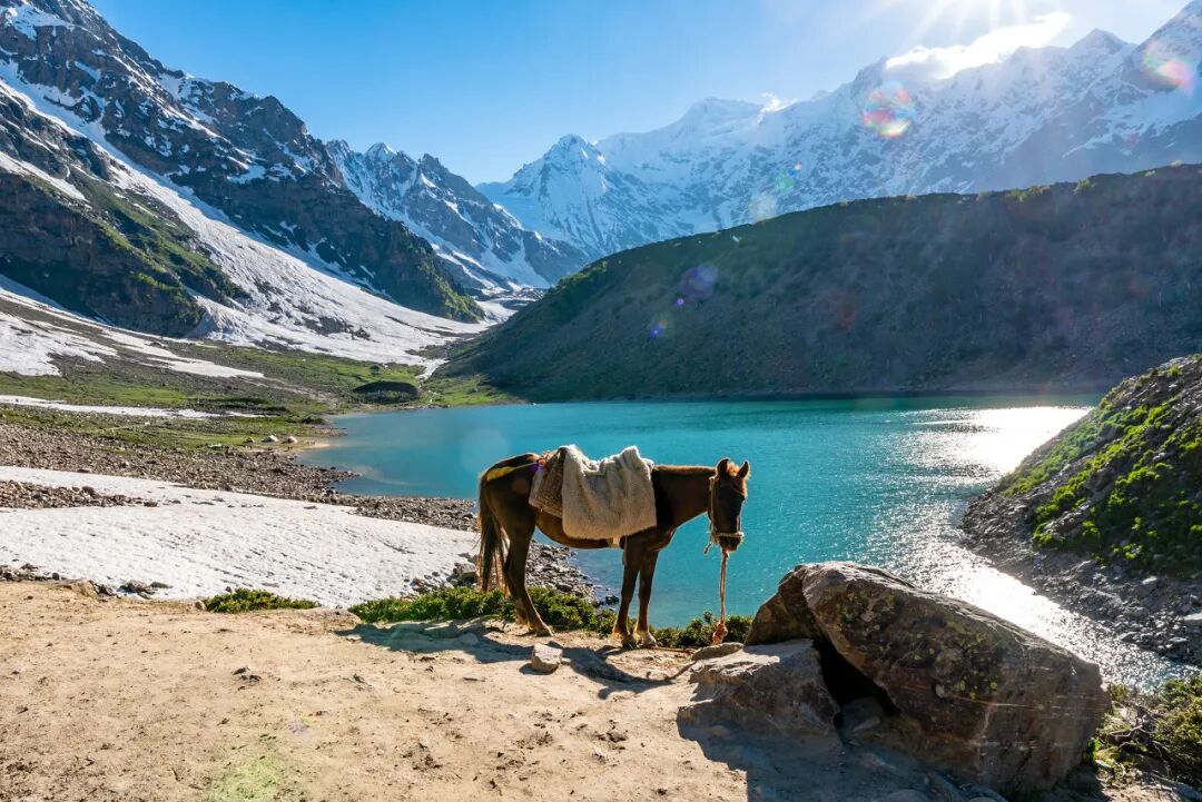 第二个对中国免签的“欧洲国家”来了：不输瑞士，200元住星级酒店！华人遍地，还是此生必去