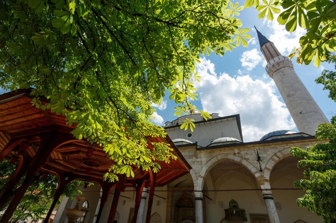 第二个对中国免签的“欧洲国家”来了：不输瑞士，200元住星级酒店！华人遍地，还是此生必去