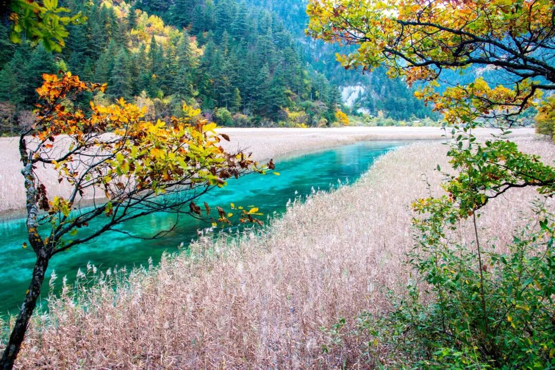 上海2小时车程的旅游胜地_重庆周边2小时车程自驾游_成都到九寨沟车程是几个小时