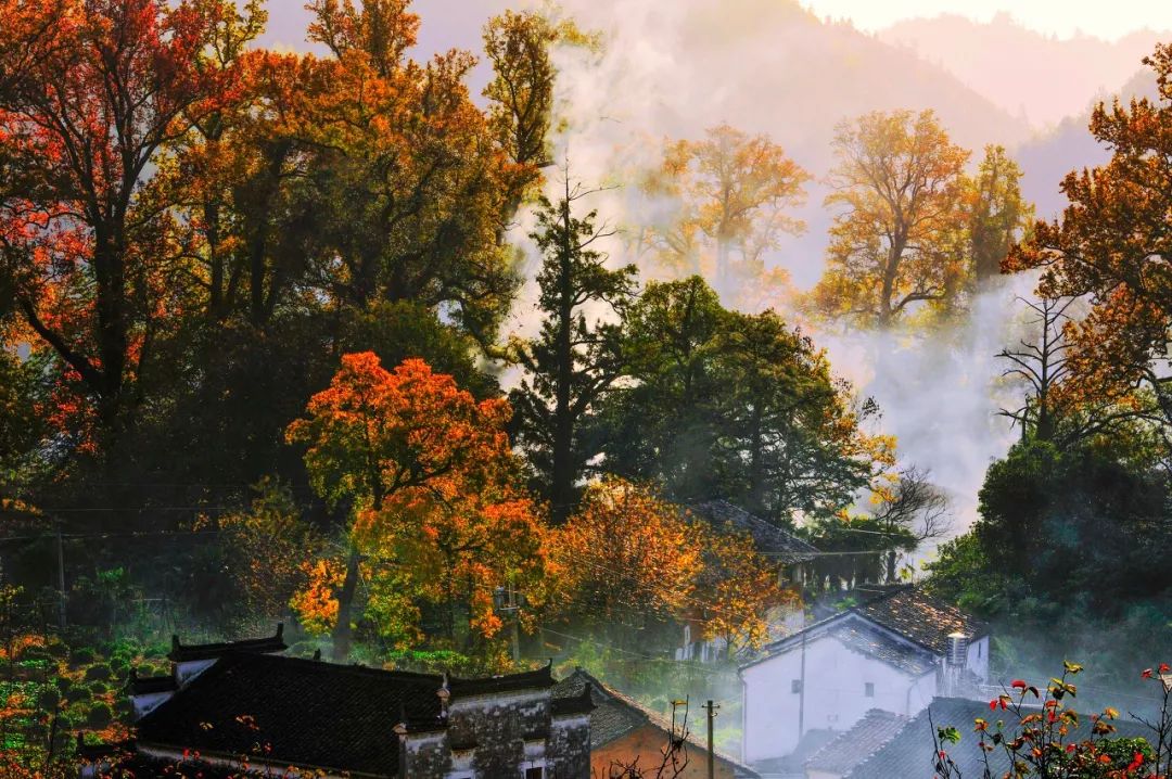 你都那麼窮了，就別去旅行了 旅遊 第13張