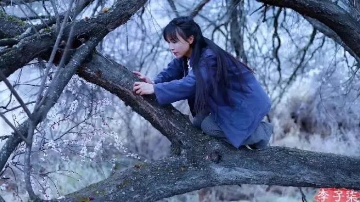 消失近250天后，李子柒终于出现了，背后隐藏的真相，瞒不住了（组图） - 28