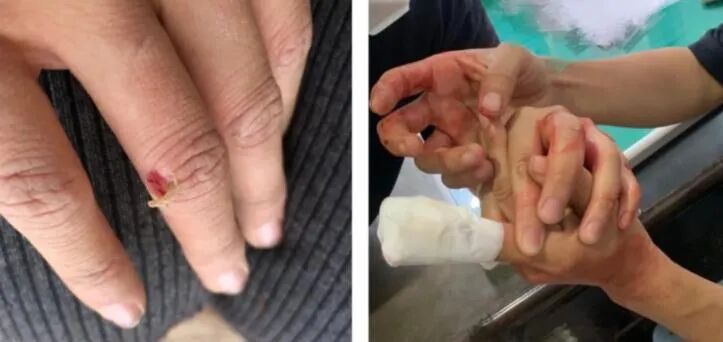 消失近250天后，李子柒终于出现了，背后隐藏的真相，瞒不住了（组图） - 19