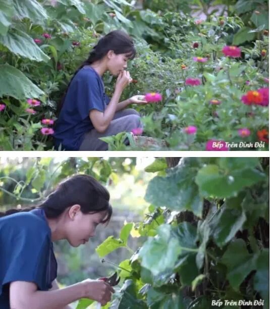 消失近250天后，李子柒终于出现了，背后隐藏的真相，瞒不住了（组图） - 21