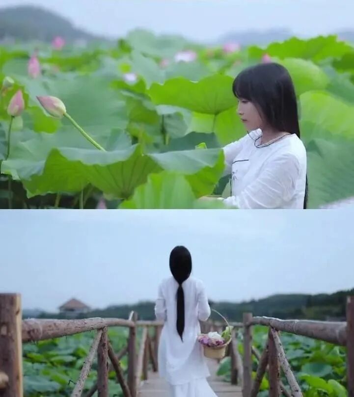 消失近250天后，李子柒终于出现了，背后隐藏的真相，瞒不住了（组图） - 29