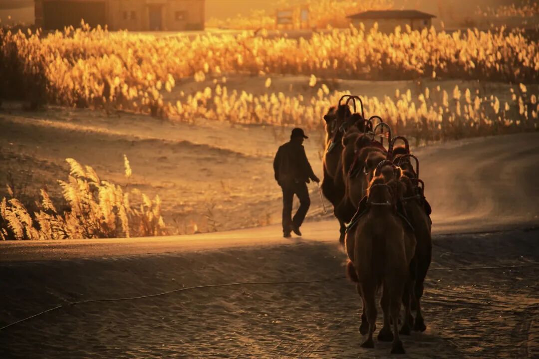 中国最“懒”的城市：睡到中午12点还嫌早！景色不输摩洛哥，满街美女，却被遗忘千年