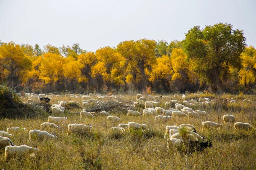 中国最“懒”的城市：睡到中午12点还嫌早！景色不输摩洛哥，满街美女，却被遗忘千年