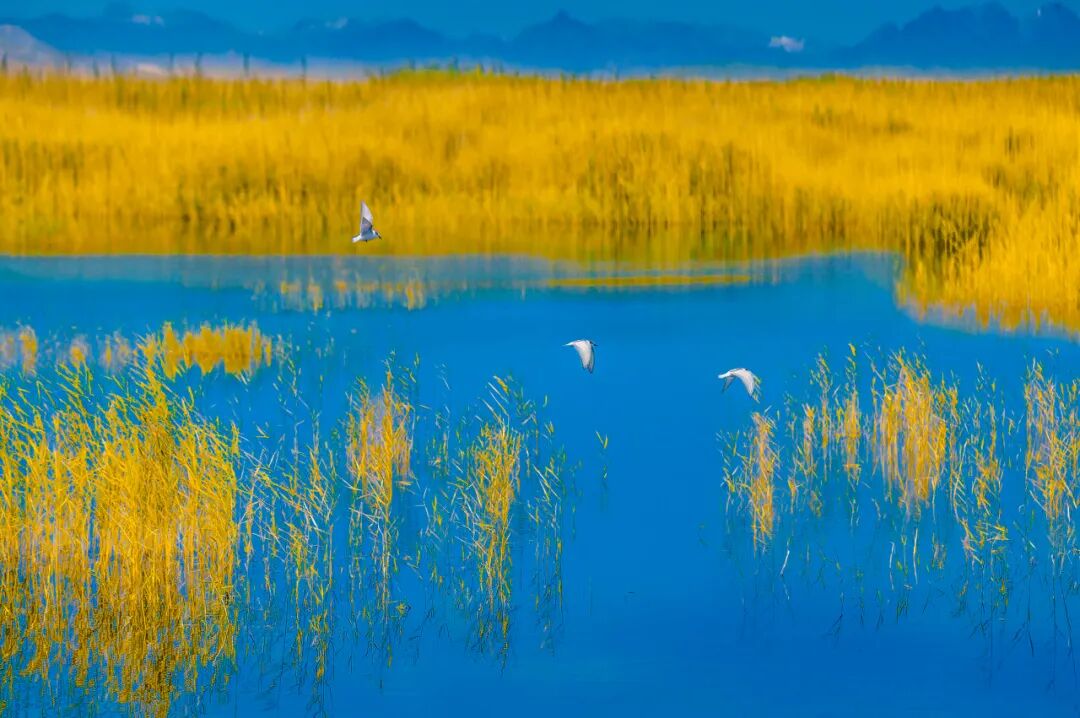 中国最“懒”的城市：睡到中午12点还嫌早！景色不输摩洛哥，满街美女，却被遗忘千年