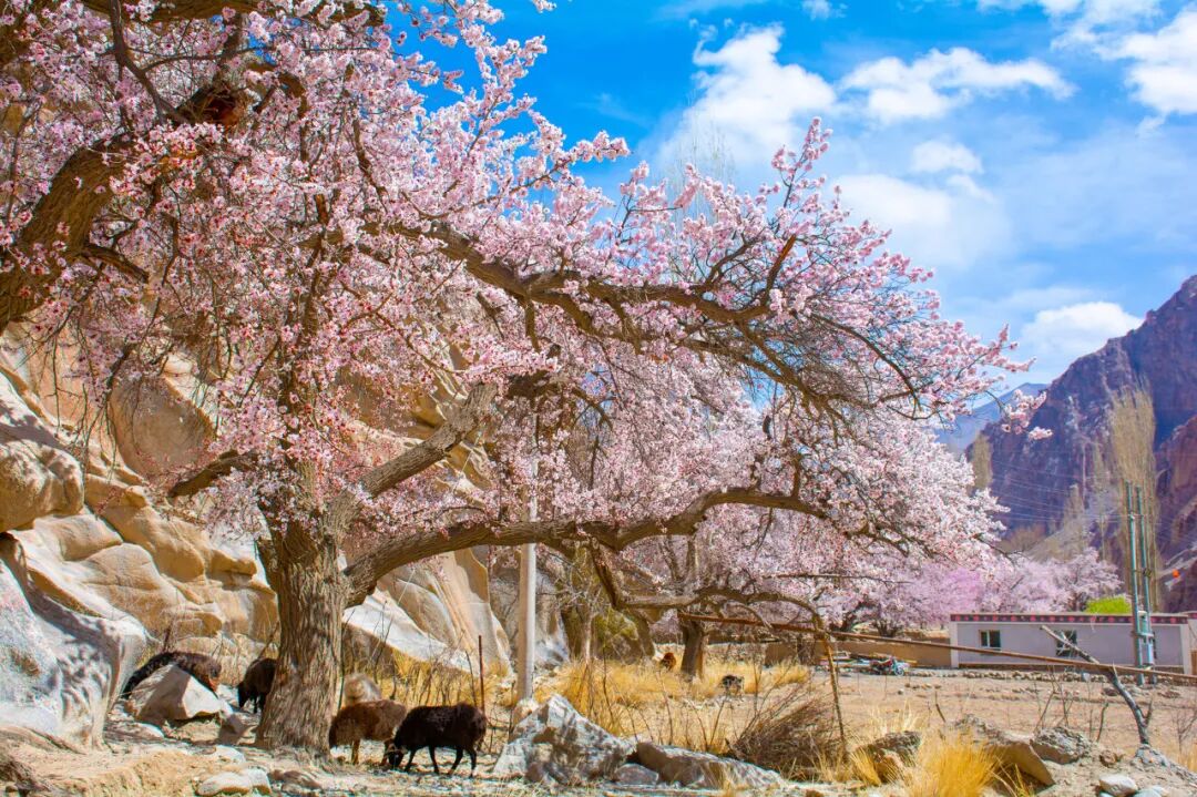 中国最“懒”的城市：睡到中午12点还嫌早！景色不输摩洛哥，满街美女，却被遗忘千年